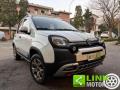 usato FIAT Panda Cross