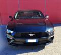 usato FORD Mustang