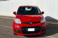 usato FIAT Panda