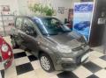 usato FIAT Panda