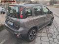 usato FIAT Panda