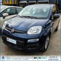 usato FIAT Panda