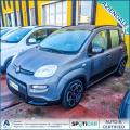 usato FIAT Panda