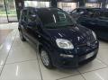 usato FIAT Panda