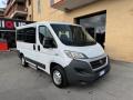 usato FIAT Ducato