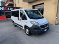 usato FIAT Ducato