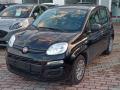 usato FIAT Panda