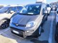 usato FIAT Panda