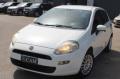 usato FIAT Punto