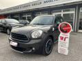 usato MINI Countryman