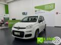 usato FIAT Panda