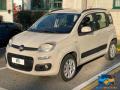 usato FIAT Panda