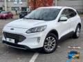 usato FORD Kuga