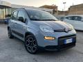 usato FIAT Panda