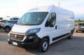 usato FIAT Ducato