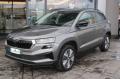 usato SKODA Karoq