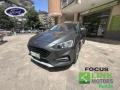 usato FORD Focus