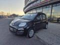 usato FIAT Panda