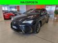 usato LEXUS UX 250h