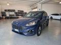 usato FORD Kuga