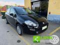 usato FIAT Punto