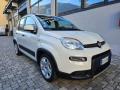 usato FIAT Panda