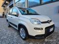 usato FIAT Panda