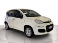 usato FIAT Panda