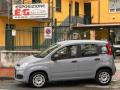 usato FIAT Panda