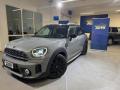 usato MINI Countryman