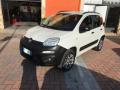 usato FIAT Panda