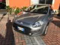 usato FIAT Punto Evo