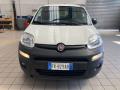 usato FIAT Panda