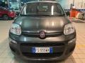 usato FIAT Panda