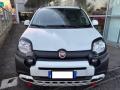 usato FIAT Panda Cross