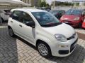 usato FIAT Panda