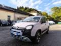 usato FIAT Panda Cross