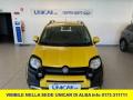 usato FIAT Panda Cross