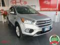 usato FORD Kuga