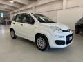 usato FIAT Panda