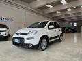 usato FIAT Panda