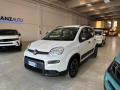 usato FIAT Panda