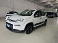 usato FIAT Panda