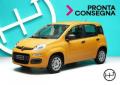 usato FIAT Panda