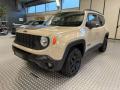 usato JEEP Renegade