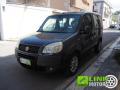 usato FIAT Doblo