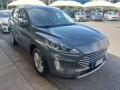 usato FORD Kuga