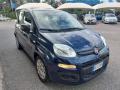 usato FIAT Panda