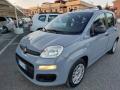 usato FIAT Panda