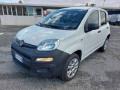 usato FIAT Panda